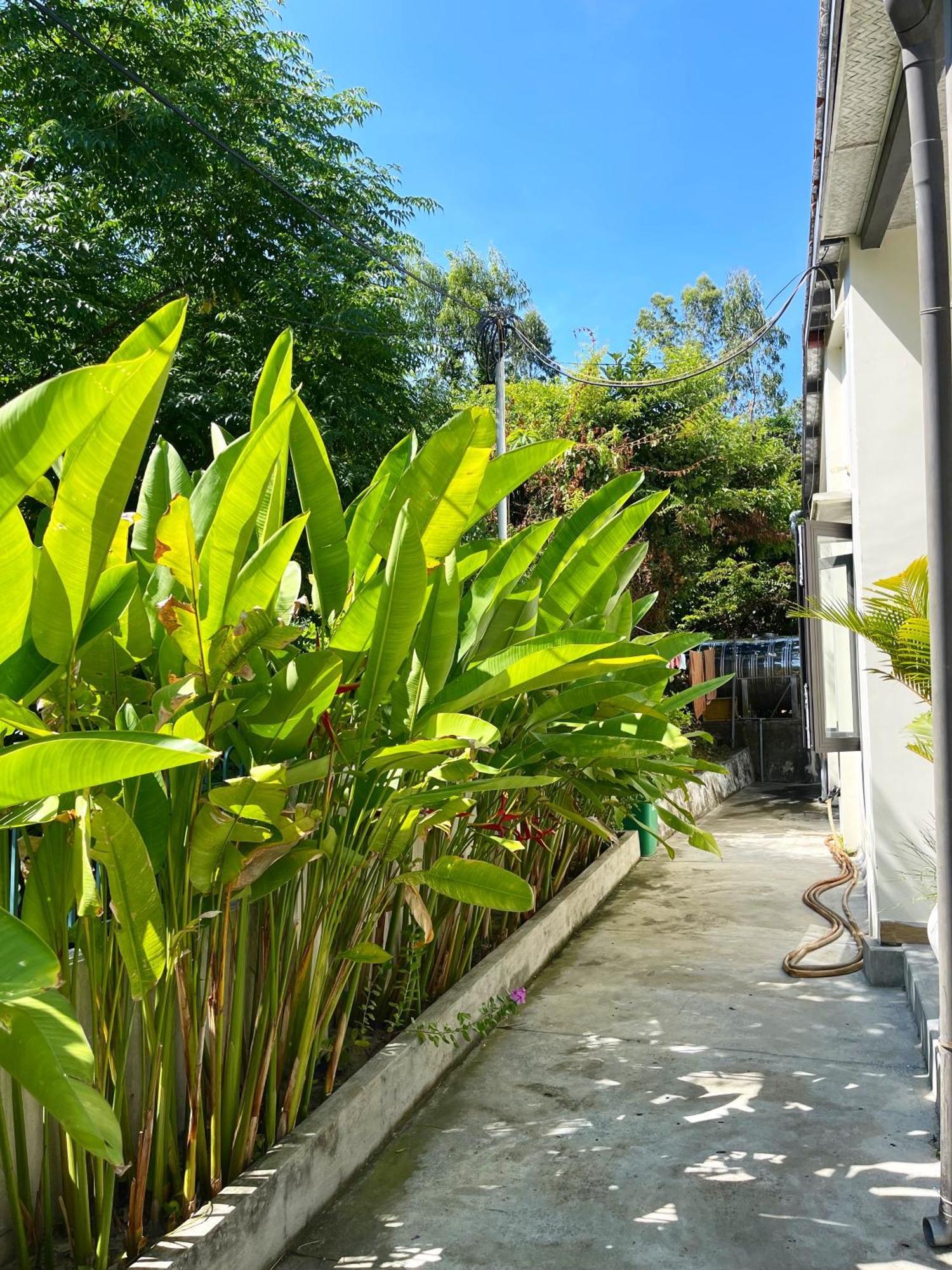 Crest House Beachside - Three-Bedroom Private House On Cham Island Hoi An Tân Hiệ エクステリア 写真